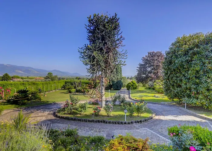 Villa Luce-Casa vacanza con vista panoramica mare. Velletri